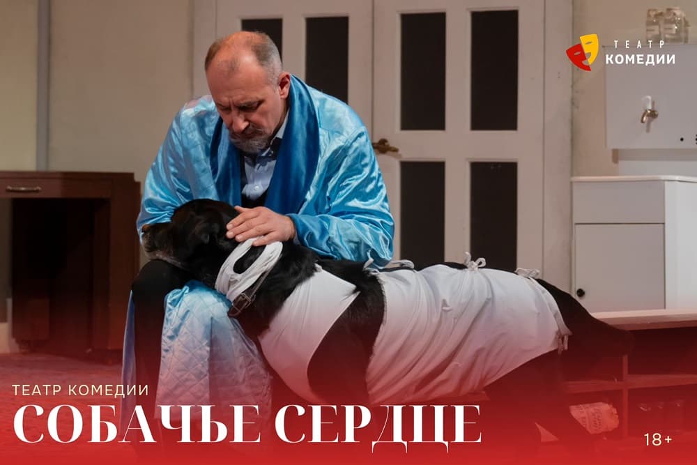 "Собачье сердце"